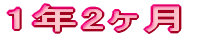 1N1