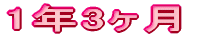 1N3