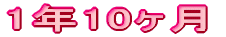1N10