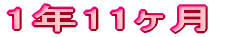 1N11